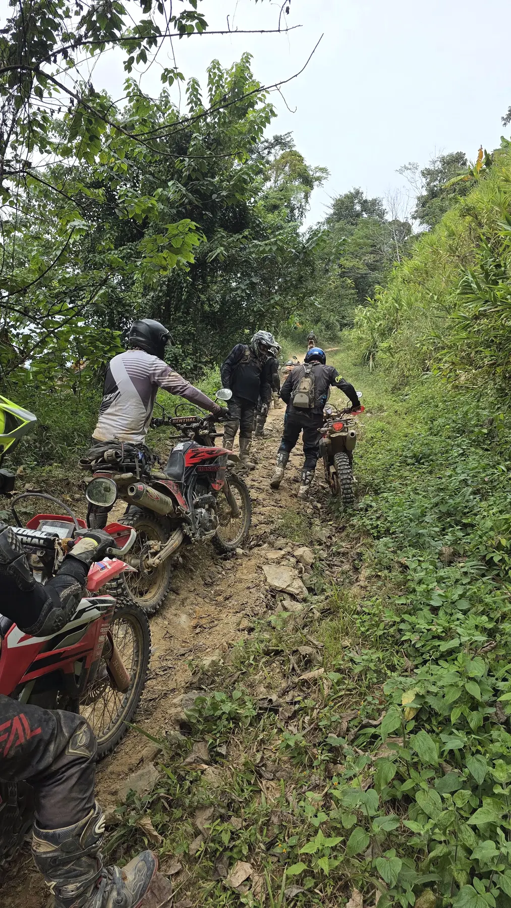 Riders climbing a narrow jungle single-track trail in northern Laos